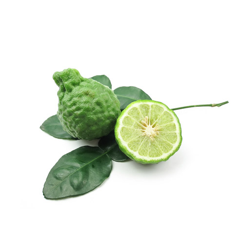 kaffir limonka liscie