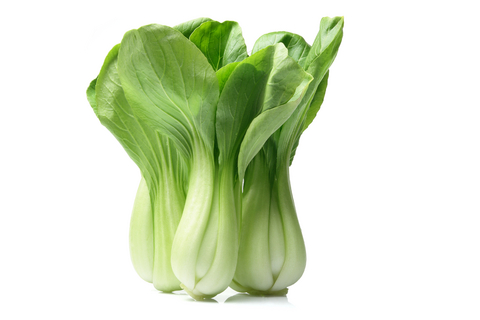 bok-choy bok choy
