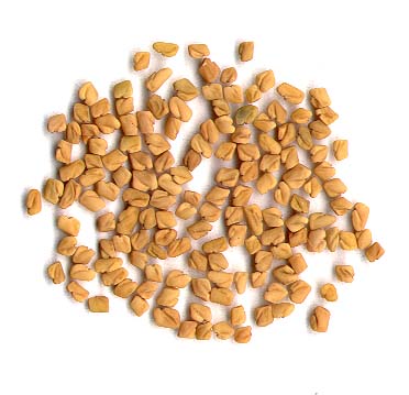 fenugreek kozieradka