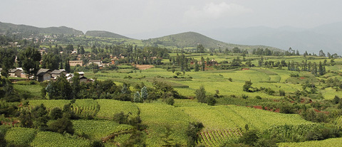 yunnan yunnan